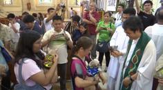 VIDEO: Domácí mazlíčci na svaté mši a pod kapkami svěcené vody