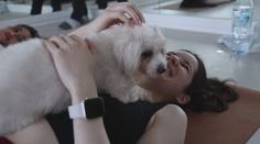 Cvičení a mazlení v jednom. V Dubaji zpříjemňují lidem jógu čtyřnozí společníci