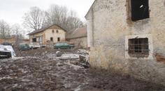Dohra týrání zvířat v Kovářově: Lidé chtějí konec ředitelky veterinární správy