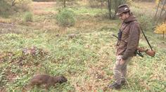 Koronavirus postihl i myslivce, přicházejí o peníze