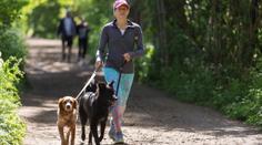Pejskaři pozor! V pražském parku řádí travič, psům tam nechává nástrahy