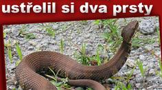 Střílel na hada, prostřelil si ruku
