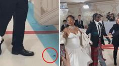 VIDEO: Šváb na večírku Met Gala? Podívejte se, jak zareagovali lidé na místě
