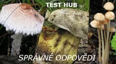 TEST hub - 2. kolo: Správné odpovědi
