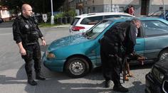 Majitel nechal psa v rozpáleném autě! Nebohé zvíře v zoufalosti vyrazilo okno