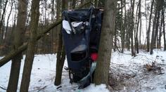 Silničáři chtějí kácet tisíce stromů. Ekologové se bouří
