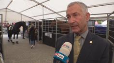 Výstava Kůň 2021 v Lysé nad Labem