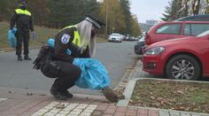 Králící po desítkách umírají v ulicích Mladé Boleslavi! Šíří se myxomatóza