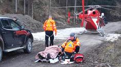 Na Slovensku medvěd napadl člověka. Muž pepřový sprej nestačil ani vytáhnout