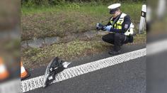 Tragická nehoda na Kroměřížsku. Jeden člověk zemřel, další čtyři se zranili