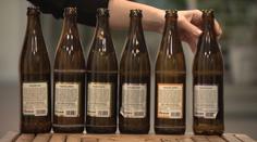 Nadměrné pití alkoholu mění lidem mozek. Pomůže jedna důležitá věc