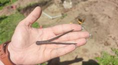 Historický nález v Polsku. Mohlo to patřit Koperníkovi, jásají archeologové