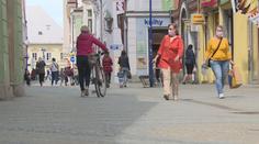 Krajům se daří vymýtit nákazu. Počet případů klesá na Jihlavsku i Písecku