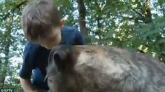 Pitbul zachránil život chlapci (8)! Neuvěříte, jakým způsobem