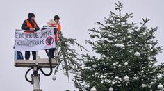 Klimatická aktivistka odřízla vršek vánočního stromku. Soud ji potrestal pokutou