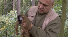 Z jihlavské ZOO utekla lemuřice! Chytili ji na sídlišti