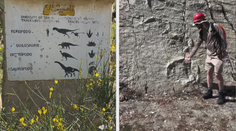 VIDEO: Jako z filmu o dinosaurech. Tohle je ráj pro fanoušky Jurského světa