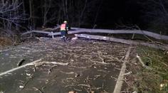 VÝSTRAHA: Meteorologové varují! Silný vítr zasáhne velkou část Česka