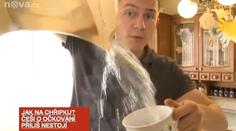 Jak léčí Češi chřipku? Reportér TV Nova vyzkoušel recepty z jehličí a cibule