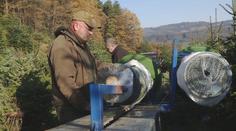 Lesníci hlásí skvělou úrodu. Letošní vánoční stromečky budou obzvlášť pěkné