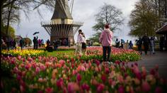 VIDEO: V zemi tulipánů začala jarní slavnost. Otevřela se nejkrásnější květinová zahrada