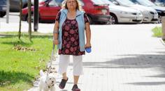 BESTIE utýrala své čtyřměsíční štěně! Zemřelo během převozu k veterináři!
