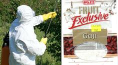 V superpotravině našli pesticidy! Inspekce varuje před goji