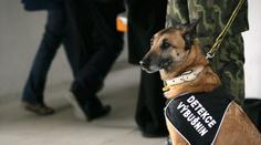 Příslušník policejního sboru kousnul pekaře a dostal padáka