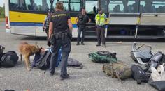 Tvrdé drogy a znásilněná žena. Na festivalu v Milovicích zasahovala policie