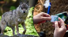 Nebezpečná hra v pražské zoo: Hledači kešek riskují mezi zvířaty!