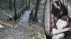 Ukážu ti zvíře, lákal úchyl děti do lesoparku. Pak znásilnil holčičku