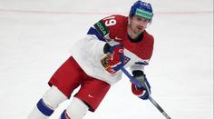 Oslavy? Slabší kusy odpadávají, směje se Flek. Během play-off ležel v horečkách