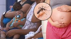 Virus zmenšující mozek dětí se bude dál šířit - MAPA VÝSKYTU