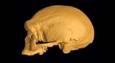 Všechno je jinak. Nález lidské lebky mění historii, říkají paleontologové