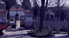 Horor u hřbitova. Našli tam auto s prasečí hlavou a zabodnutým nožem