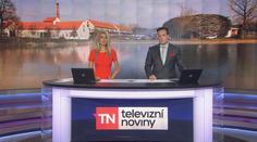 Žalobce navrhl zastavit Babišovo stíhání v kauze Čapí hnízdo