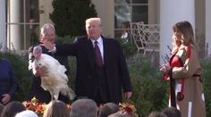 VIDEO: Američané se připravují na Den díkuvzdání