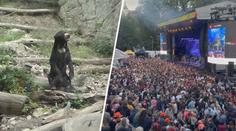 Zoologické zahrady trápí letní festivaly. Zvýšený hluk zvířata stresuje, stěžují si