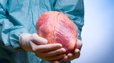Selhání srdce zabije polovinu Čechů, transplantace zachraňují