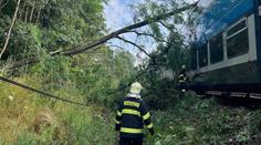 Zdržení na železnici: Provoz mezi Prahou a Benešovem ráno zastavil spadlý strom