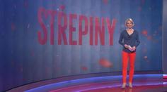 STŘEPINY: Miloš Zeman se chce opět stát prezidentem