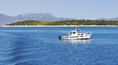 U Chorvatska potkali v moři třímetrového žraloka. Vynořil se vedle lodi