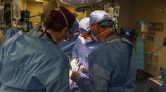 První člověk s transplantovanou prasečí ledvinou po dvou měsících zemřel