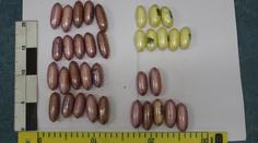 Na Ruzyni zadrželi dalšího pašeráka drog, ve střevech měl 1,5 kilogramu kokainu