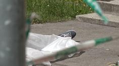 Otec vyskočil z okna, dcera zřejmě ubodala babičku! Hrozí jí doživotí
