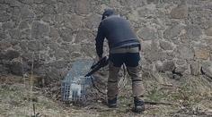 VIDEO: Hrozivé týrání zvířat u Prahy. Správce obory měl chytat a střílet kočky