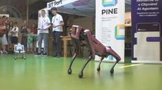 V Praze se konal festival umělé inteligence. Představil i sociálního robota