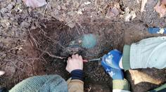 V zemi se skrýval tisíce let: Bronzový poklad uchvátil archeology
