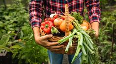 U farmářů lidé mohou za potraviny výrazně ušetřit. Velký přehled po krajích