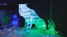 Výjimečná výstava v Plzni: Na ledové sochy dinosaurů láká muzeum Depo Moto Art